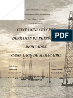 Impacto Ambiental Por Derrame de Petroleo