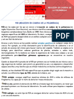 REACCION EN CADENA DE LA POLIMERASA Noveno Semana 3 Texto PDF