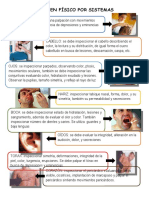 Examen Físico Por Sistemas