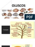 Exposicion Dos de Zoologia