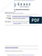 Vip-2010.cytidine Deaminases AIDing DNA Demethylation