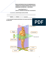 Taller Posicion Anatomica Editable