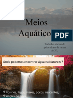 Grupo 3 - Meios Aquáticos (Final)