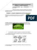 Guia Formativa Ciencias Naturales Unidad 2 Adaptac Iones de Los Seres Vivos 4to