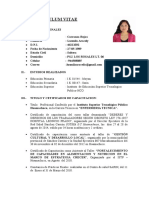 Lusmila Carranza Curruculum Actualizado