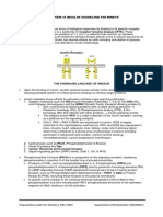 Insulin Signaling Pathwayshandout