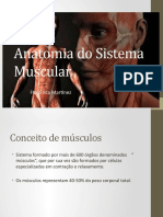 Anatomia Do Sistema Muscular