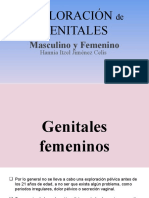 EXPLORACIÓN de GENITALES