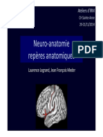 Repères Anatomiquesx PDF