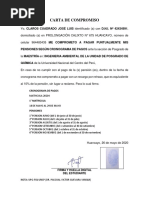 Carta de Compromiso