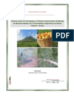 Kes. Namuli Estudo 2016 PDF