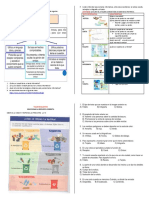 GUIA DE ESPAÑOL-textos Informativos