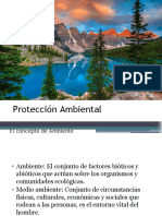 Protección Ambiental 1