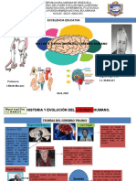 Infografia Miguel