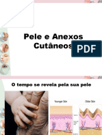 14 - Pele e Anexos Cutâneos