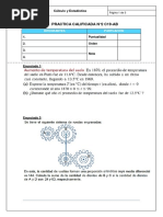 2° Practica Calificada C19-Ab PDF