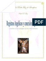 Manual Registros Angélicos PDF