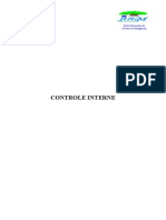 Contrôle Interne PDF