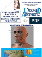 Anatomia y Perfilado Facial - Bazualdo