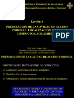 Leccion 4. Cavidad de Acceso