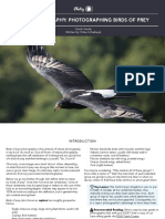 Bird+Photography BirdsofPrey PDF