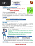 PDF Documento