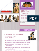 Aromaterapia en Animales