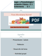 4 Flora Bacteriana Normal