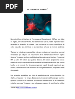 El Cerebro Al Desnudo PDF