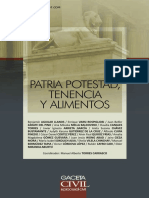 Patria Potestad Tenencia y Alimentos