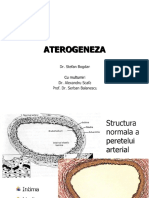 Aterogeneza Modificat