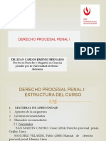 Derecho Procesal Penal