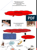 Infografia-Actos Administrativos