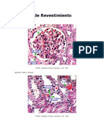 Atlas Histología General