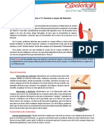 Ficha N° 2 - Leyes de Newton - CT 2