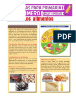 Los Alimentos para Primero de Primaria PDF