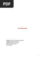 Caso Rimmet PDF