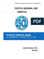 Plan Anual SST 2018 PDF