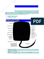 Cells: Cytoplasm (Or Cytosol) - This Is The Solution Within The Cell Membrane. It Contains Enzymes For