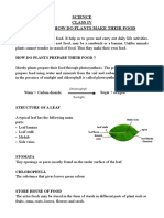 Class IV CHAPTER 1 SCIENCE 