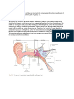 Exterior and Middle Ear