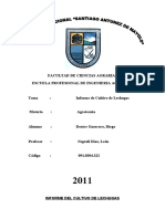 Informe Final de Cultivo de Lechugas