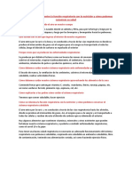 Explicamos La Relación Entre La Función Respiratoria Con La Nutrición y Cómo Podemos Conservar Su Salud