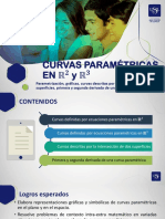 S9 CURVAS PARAMÉTRICAS EN R2 y R3