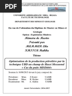 Optimisation de La Production Pétrolière Par La Technique UBD Au Champ de Hassi Messaoud