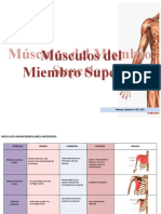 CUADRO Musculos de Los Miembros Superiores