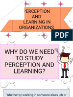 Perception AND Learning in Organizations