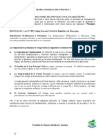 Teoría General Del Proceso I - Principios Rectores Del Proceso Civil Nicaragüense - 2018