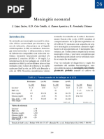 Meningitis Neonatal PDF