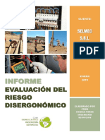 Informe Ergonomía Selmec